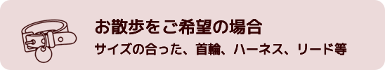お散歩をご希望の場合