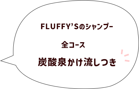 炭酸泉かけ流しつき