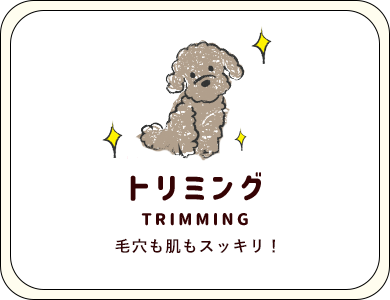 トリミング