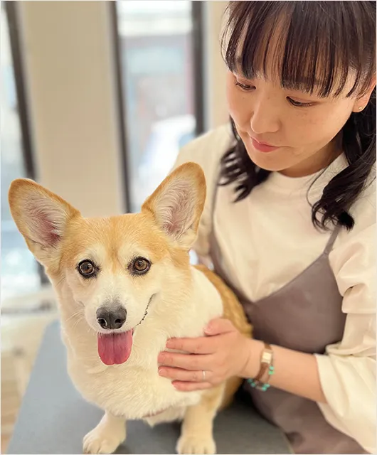 フラッフィーズについて