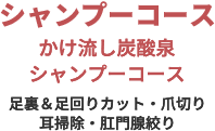 シャンプーコース