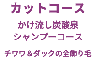 カットコース