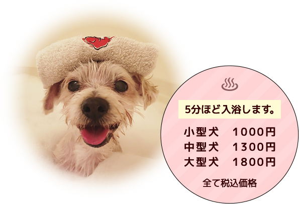 炭酸SPAとは!?